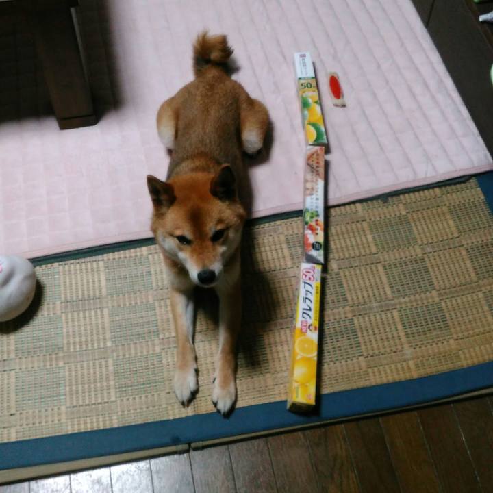 061e4d90 5203 4c4e be31 5c9e1ef1bf53