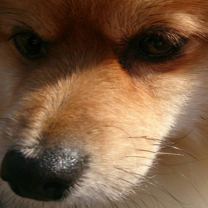 061f6390 0909 4b60 868b 07b992d3255c