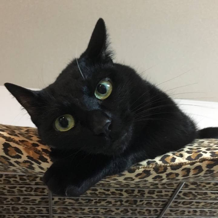 061f8c61 dfa2 4ea9 9174 49053102b1a6