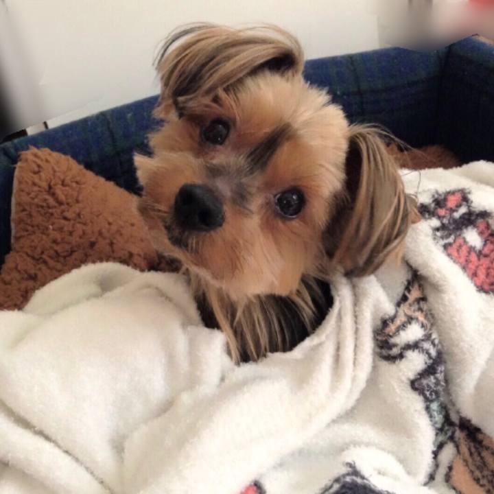 062081ec 09ae 46aa bbb9 e434f4554246