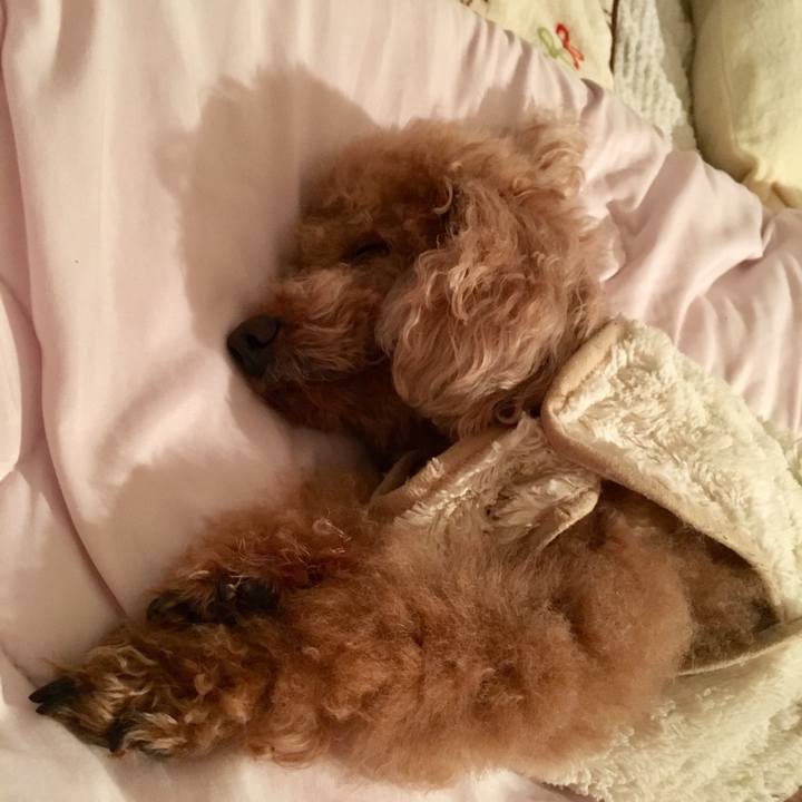 0620d542 2d32 44e5 8a18 655f034eac2f