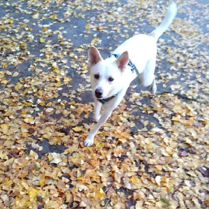 06210c1b 0fb8 43ae 8a0d 736bf751fa90