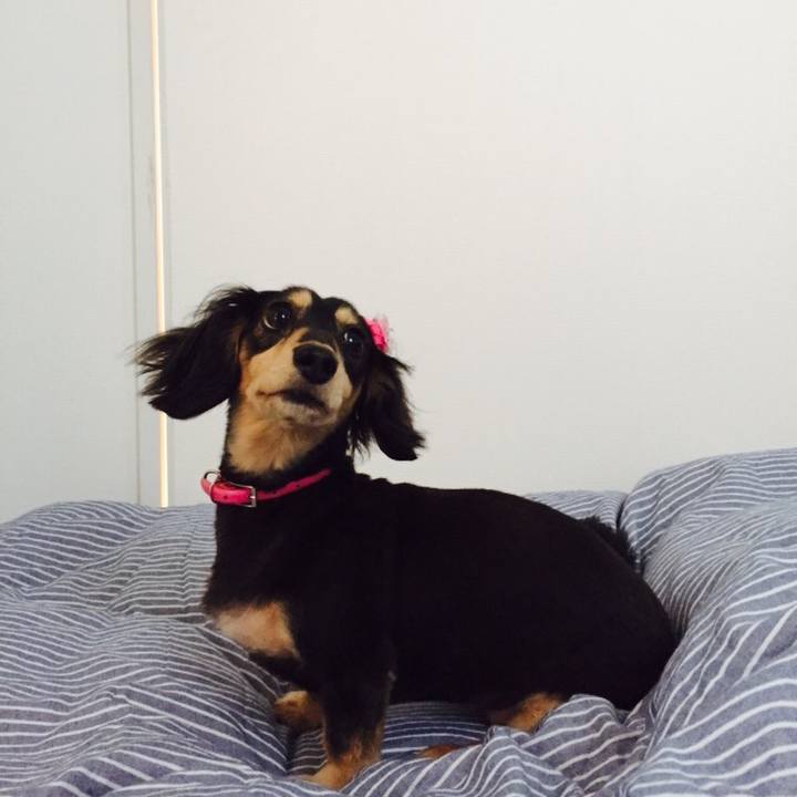 06214480 b777 456f a729 097eea1c8883