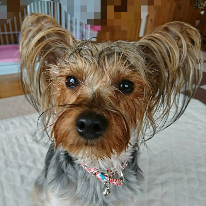 0621be3d d72f 4952 8286 450e5c9934f7