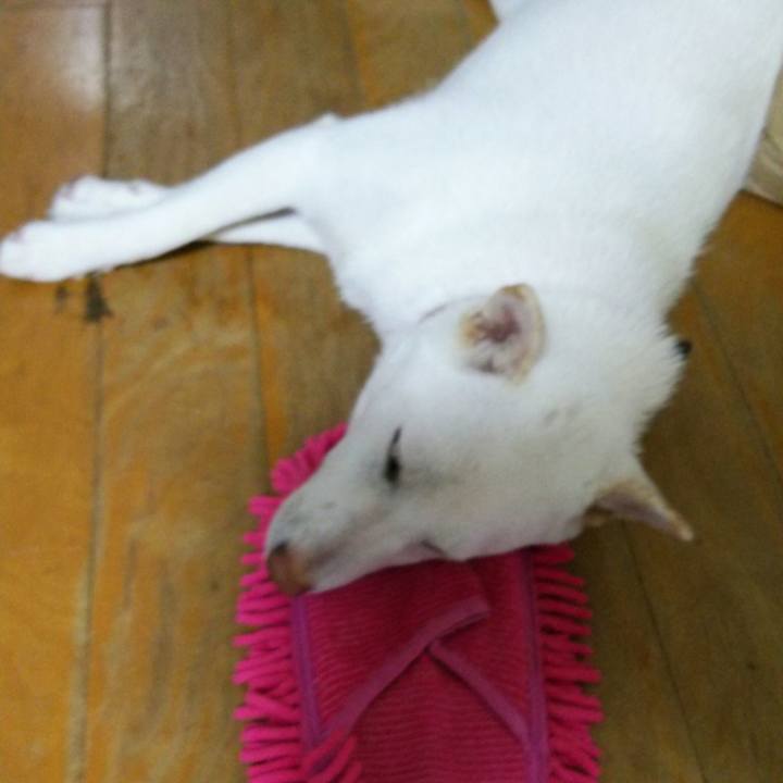 062276a1 6da9 4119 b8bb fc3338f40c60