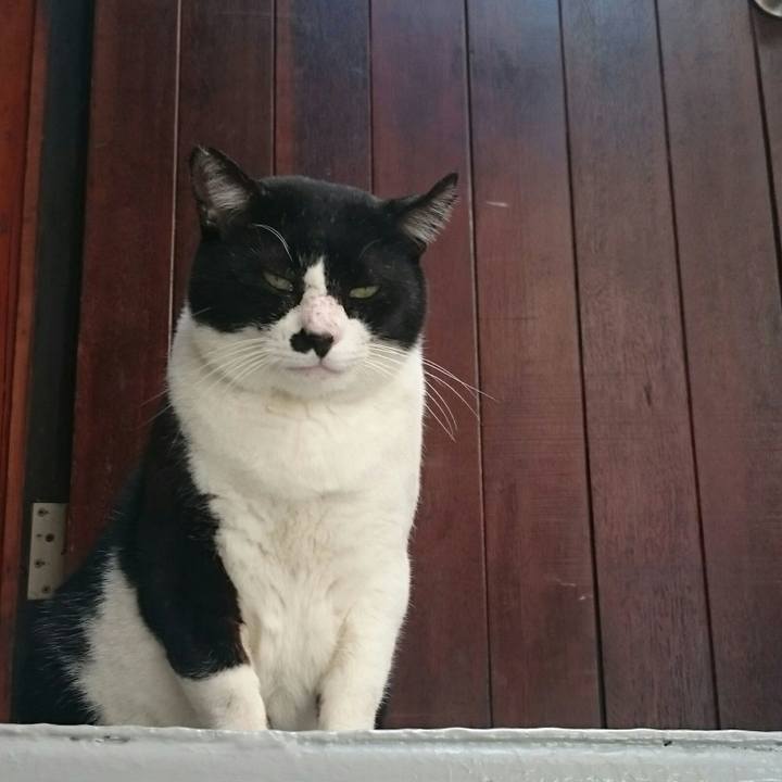 0622bfaa 7602 48fe 9bf4 a2af5f16822e