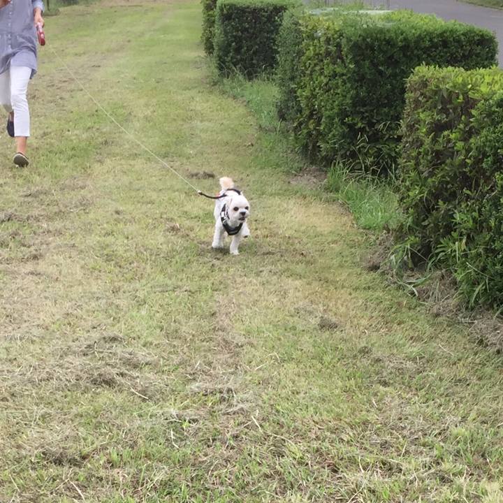 0622f0ee f6f5 4d2e baf5 c887f2460f07