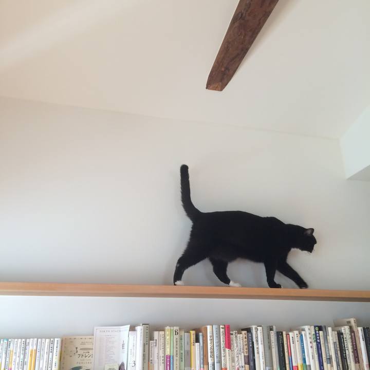 0622fbed 8412 4fc3 a5a5 613abc4a9a41