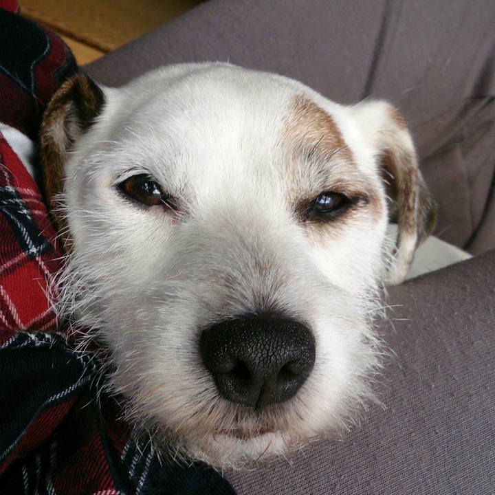 0623a975 7c67 4c80 b829 26f85a727196