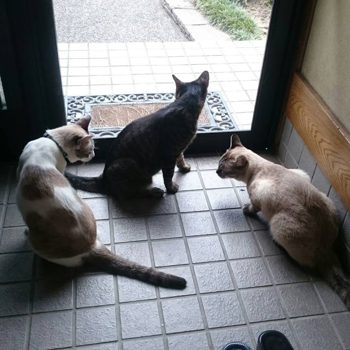 0623eb81 c417 41d9 a18f 7e42d19791a9