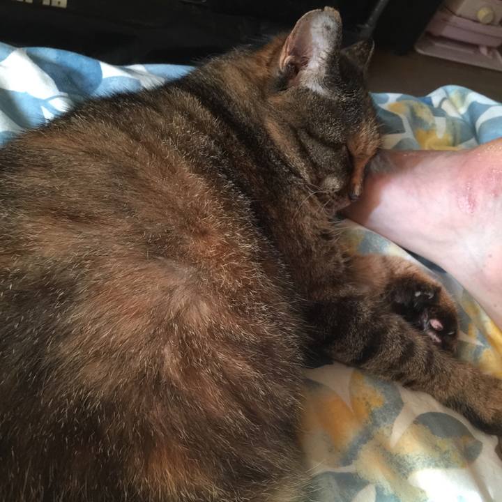 06243211 9c65 41d9 894e bc034a1840ce