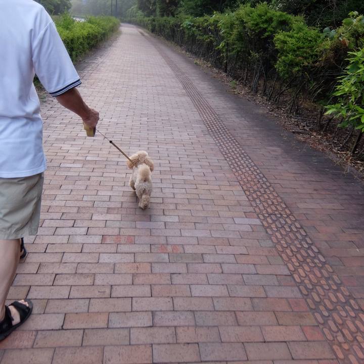 0624a9ed fe59 4864 8ffd b5e2b3aaa14e