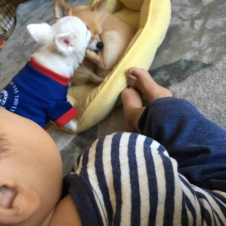 0624d2d4 e847 4a13 8eb0 cbb34c2e49d8