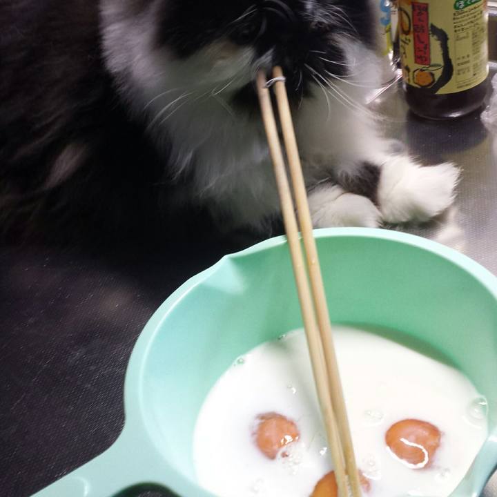 06251f99 2597 4f0c a5ae 5d4ce35e8f5c