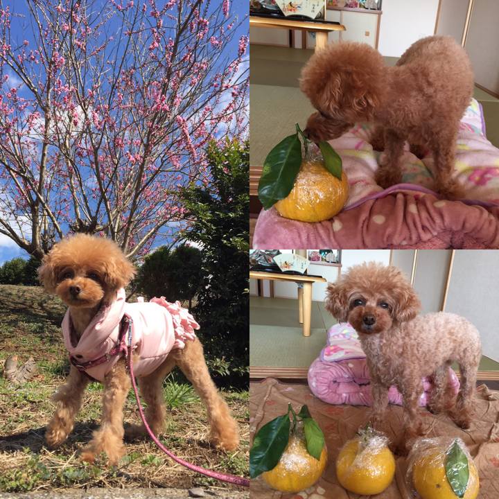 06253653 9a85 46ce a7aa 9ab7e9ca4fc5