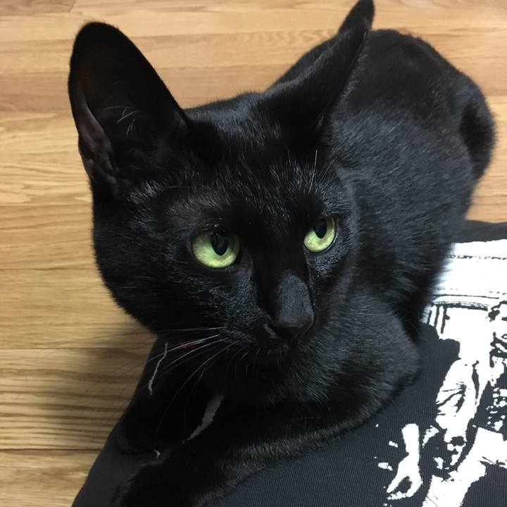 0625d393 ab38 4e5f 941e de9f144777da