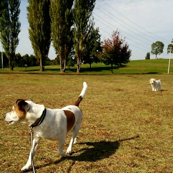 06270f56 d51a 4e6f aa00 05e7f98f81ea