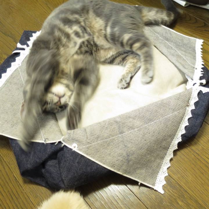 06271ae4 1138 4ff6 9057 e76e8859e56c