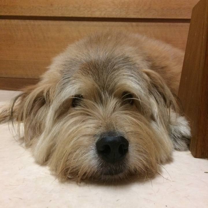 06275ece c7d8 4b64 8f00 3c9a13ad551f