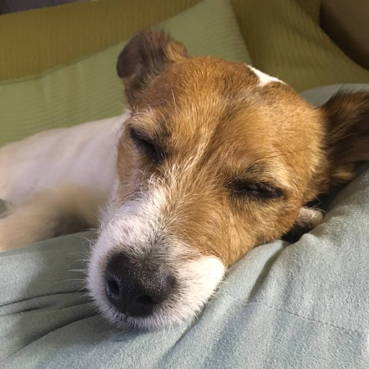 062799cf 6d9a 489c 8aef ceb634dea338