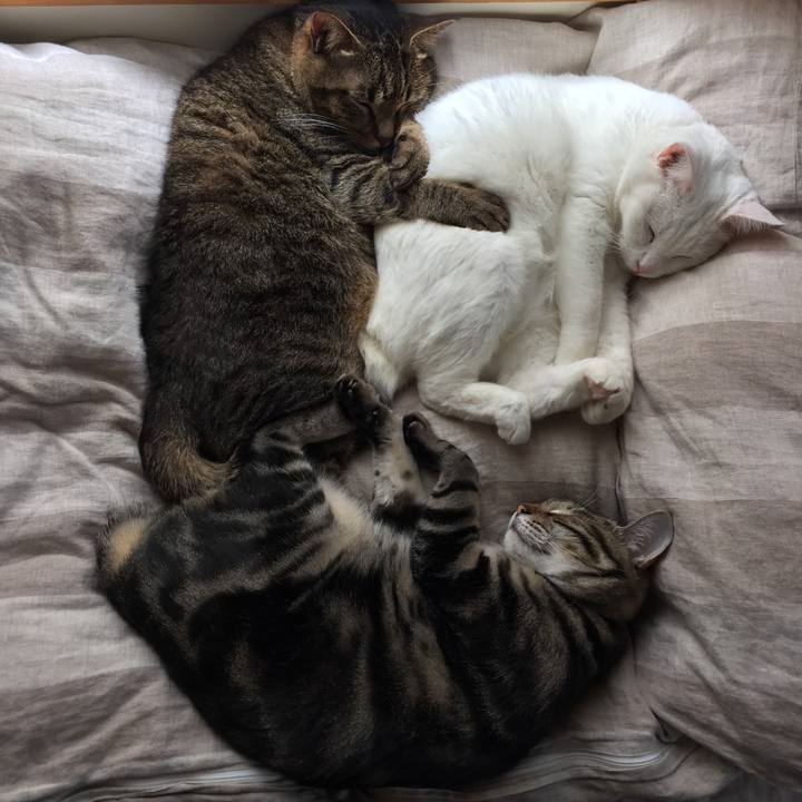 06280b51 4c64 4a9e bd1e 8250a94b166f