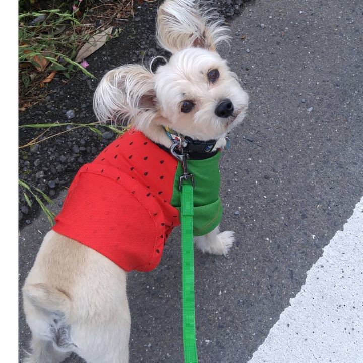 06294466 3da5 4b45 8b4f 0fb95aec31a4