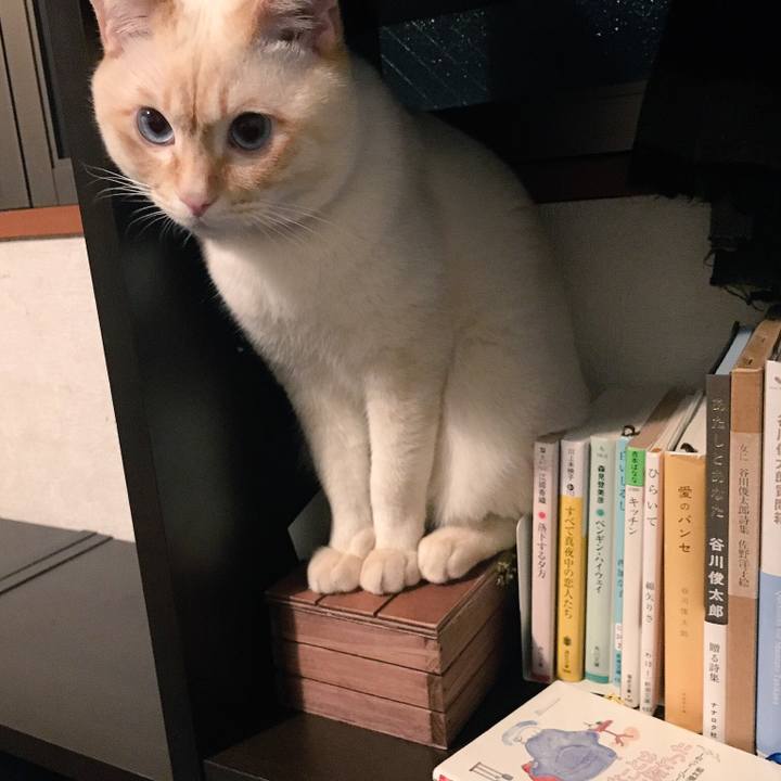 0629ff2d b5e5 4318 9832 3a7357a042ee