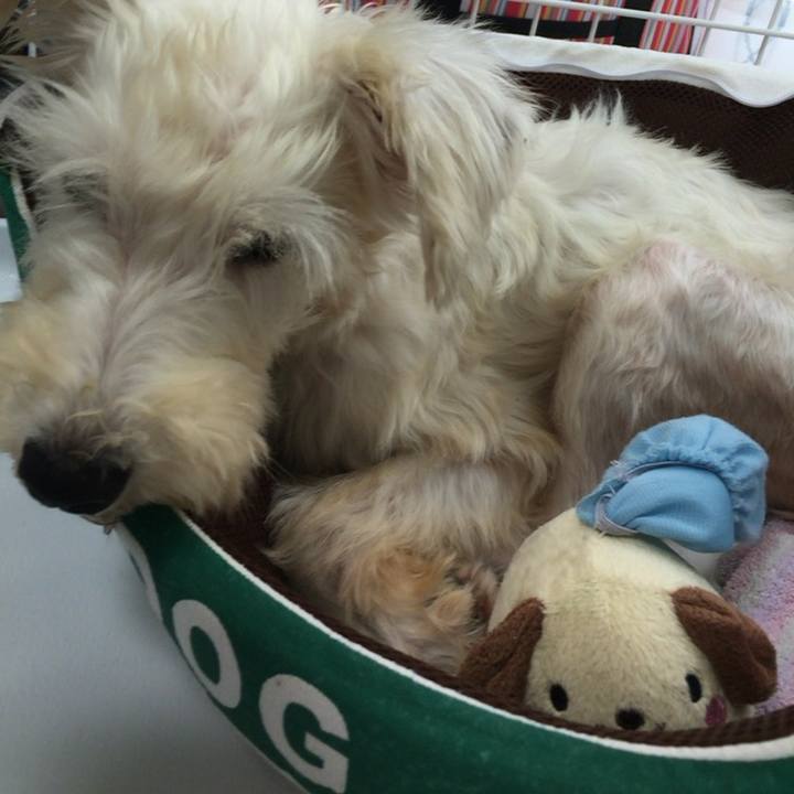 062a372f 06e0 47f1 b5c4 2d48d04fad34