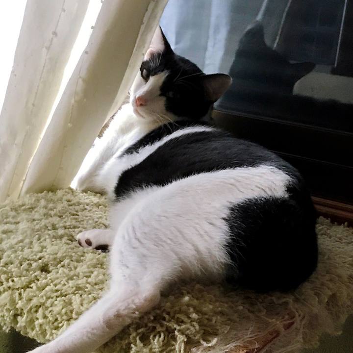 062adf9c 7308 4610 a5a6 bf6d42779ec2