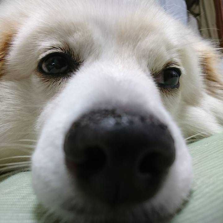 062b5c65 2b26 4476 b357 33dd009a1d12