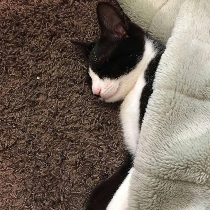 062b7b2b 957b 4a0e bb38 dc833df602ba