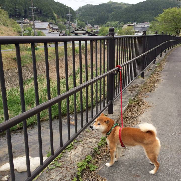 062c43f9 771c 429b 9a38 43d75ba31d2a