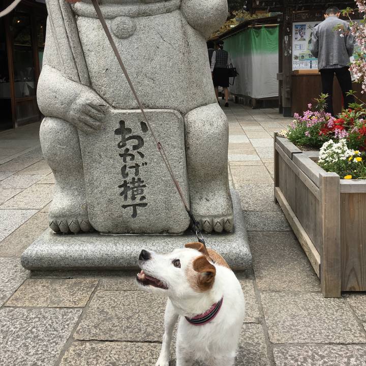 062c5b3b 6129 4f4d 8257 ddd16257d42d