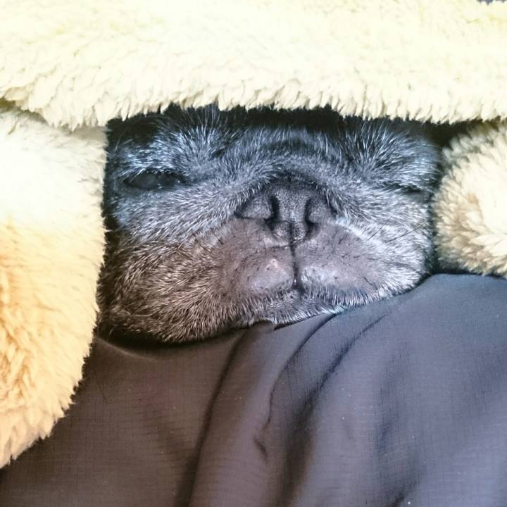 062d8044 1e56 4e8d bffc b6e5903b89e1