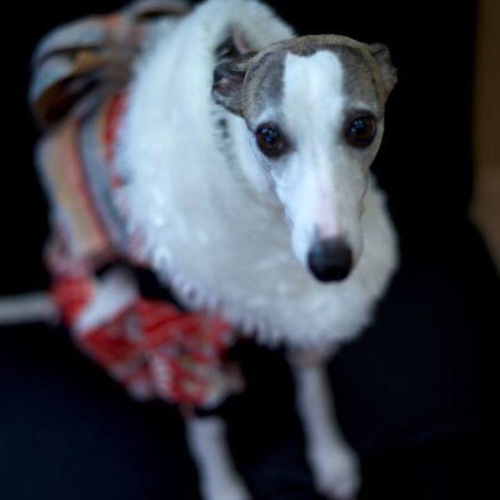 062dca1d 4e3a 4ade a878 c8bbc3b90f30