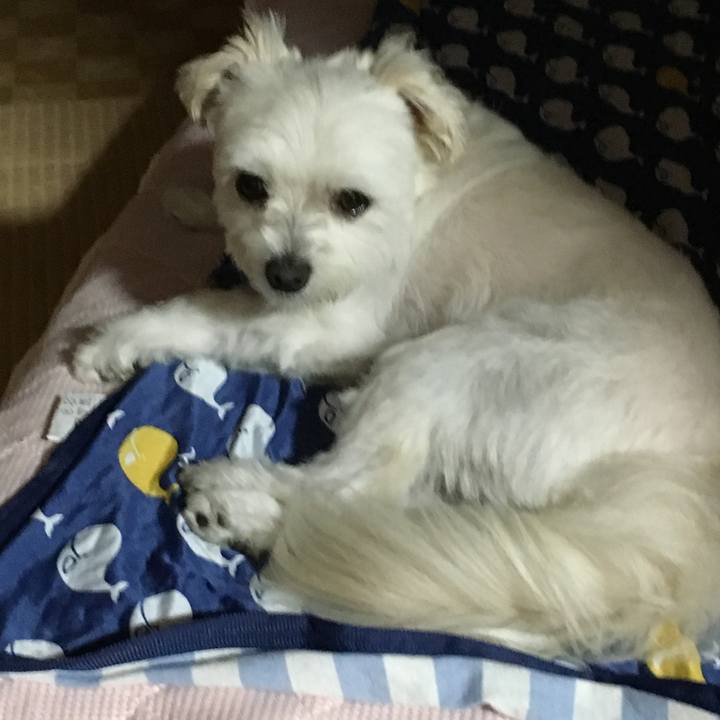 062de5bd e143 4aad 90f5 65151ae0da1c