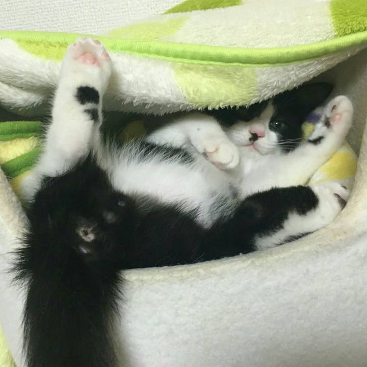 062de8ab 654f 4329 888d 17ee7d7f5158