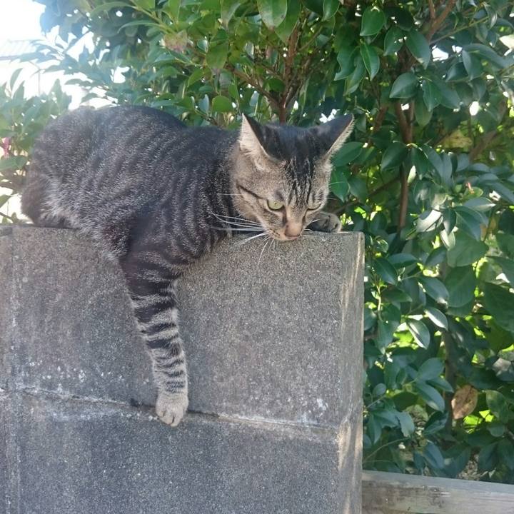 062e12ad e1d4 4b71 bb15 38d084af787d