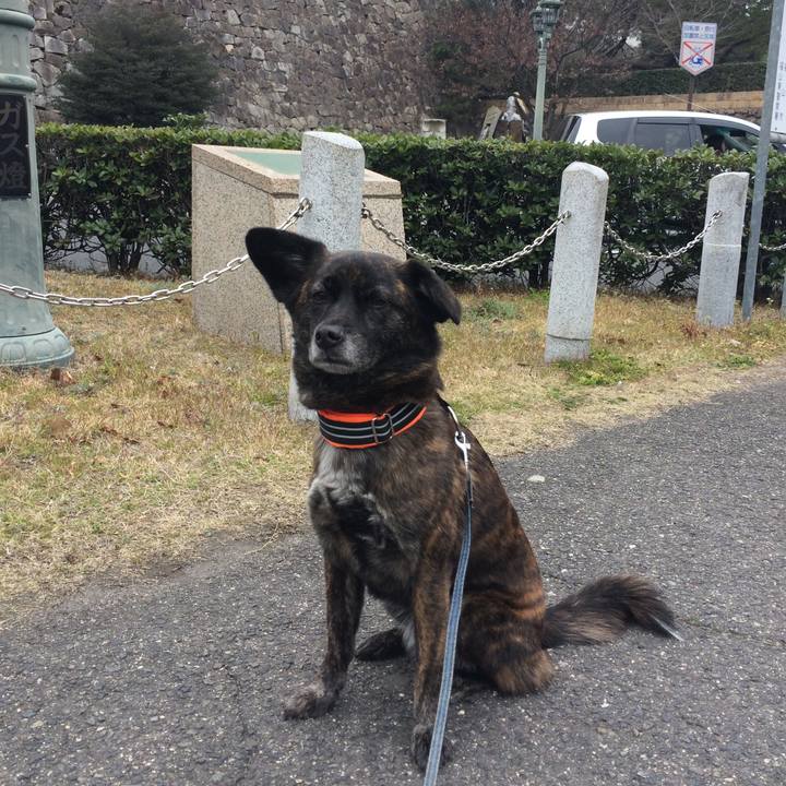 062e6882 9efa 4cb4 a98c f46727d1b43d