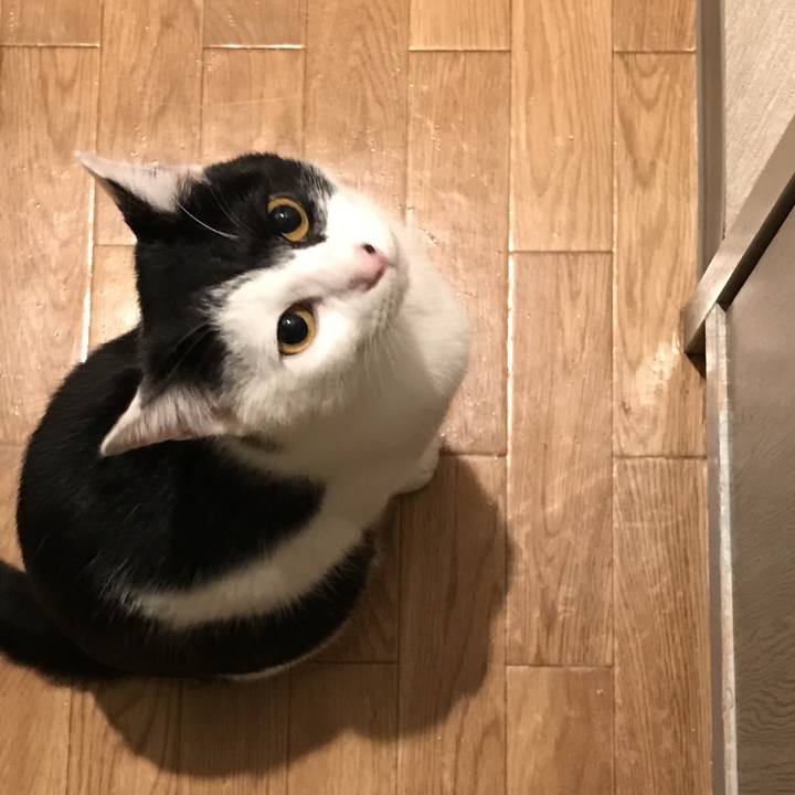 062f5de1 95aa 4b96 95bd 10d261616676