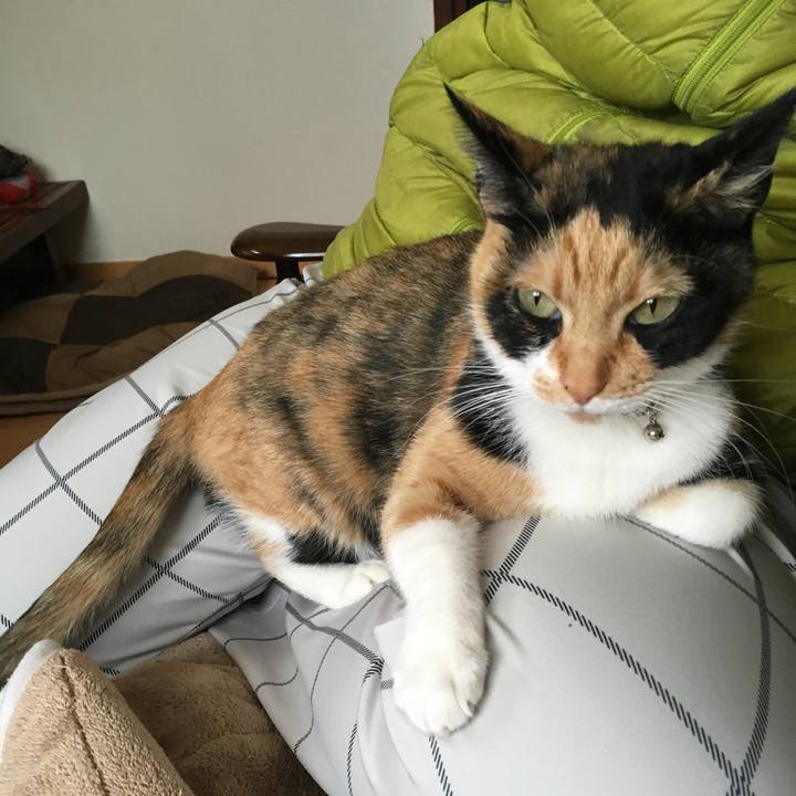 062fc695 a615 41a1 9c02 cbd1a1a6e6c6