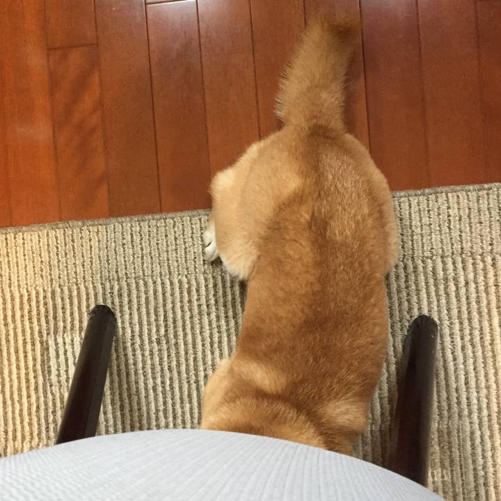 06301cec e607 4b33 b6ed f20f90ac307f