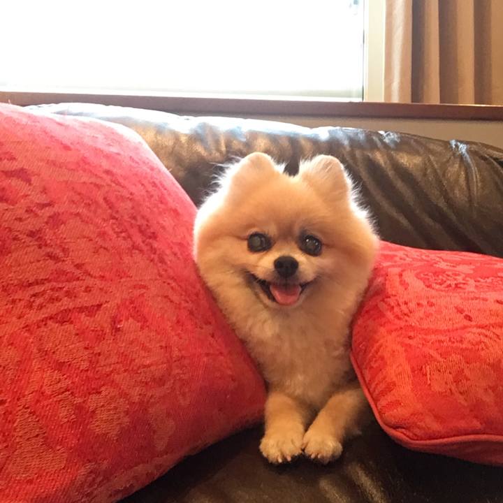 0630542a 9155 48ce a8a1 f6b509b51358