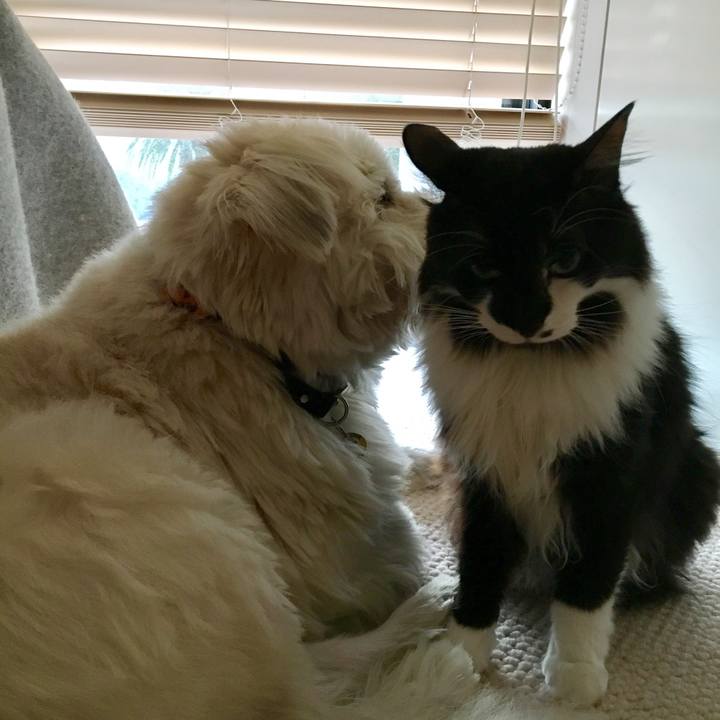 06308df2 0323 424c a493 09116d26a99d