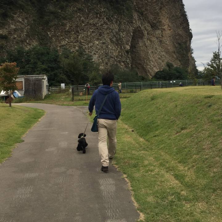 06314f16 2466 4231 bb9e 1f85233d48c6