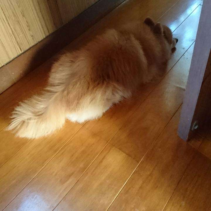 06315553 a0a9 47a8 95b6 26ba7d206bc4