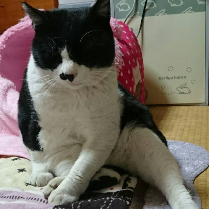 06317ede 90f1 424e 90b0 9e8698673be2