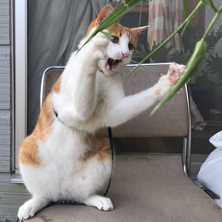 0631b4a4 8d12 4ca0 b623 a0497b9cfe48