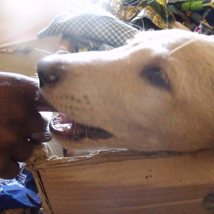 0631b654 4ce0 4269 8dee 77c051c01730