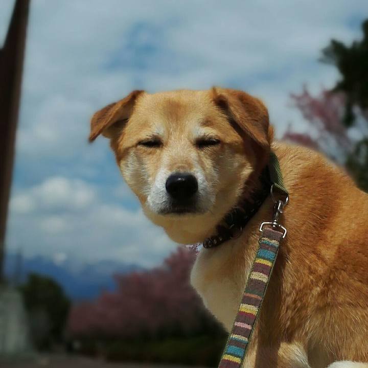 06321ee4 9b4f 44dc 996b 41dd978aaa7b